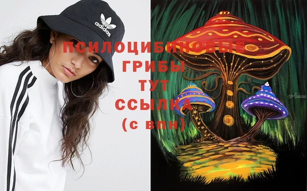 метадон Арсеньев