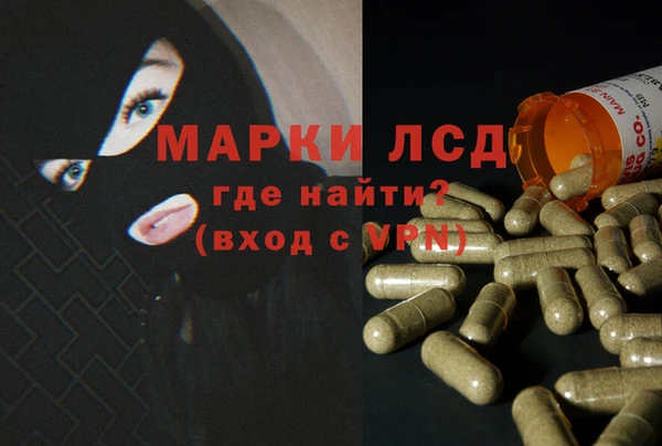 спиды Щёлкино