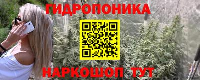 прущие грибы Камень-на-Оби