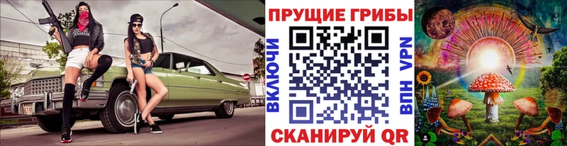 Псилоцибиновые грибы Cubensis  продажа наркотиков  Невинномысск 
